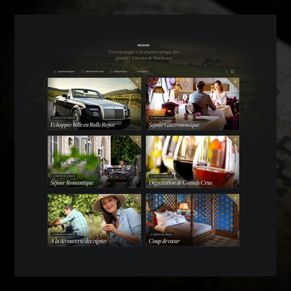 Luxury Wine Experience